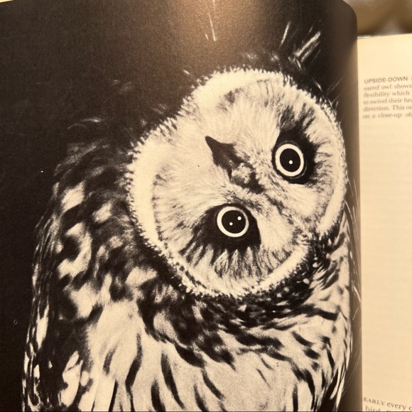 Life Nature Library Bird Book - Picture 6 of 6